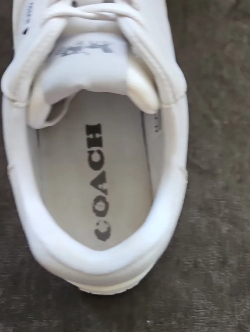 Coach clean white